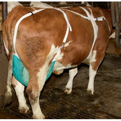 Cow's Teat Bra XLarge