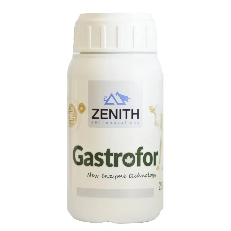 Gastrofor İshal Stopper
