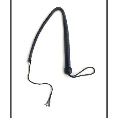 Professional pain whip with stimulant effect in horseback riding.