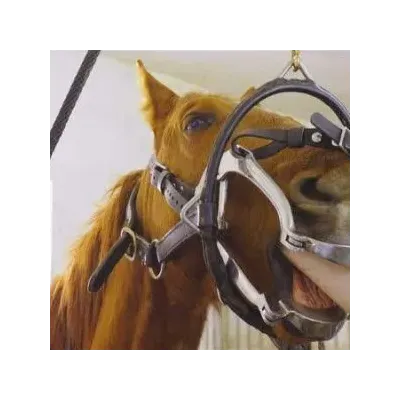 veterinary mouthpiece