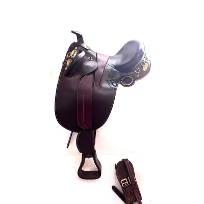 Avustralya Eyerler – modernciftlik.com