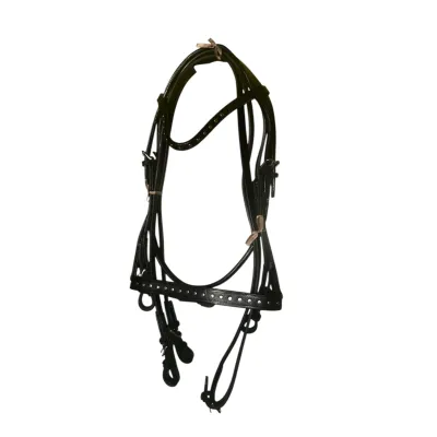 A control system that brings together the horse's head and reins in a single set, making it easier for the rider to control it.