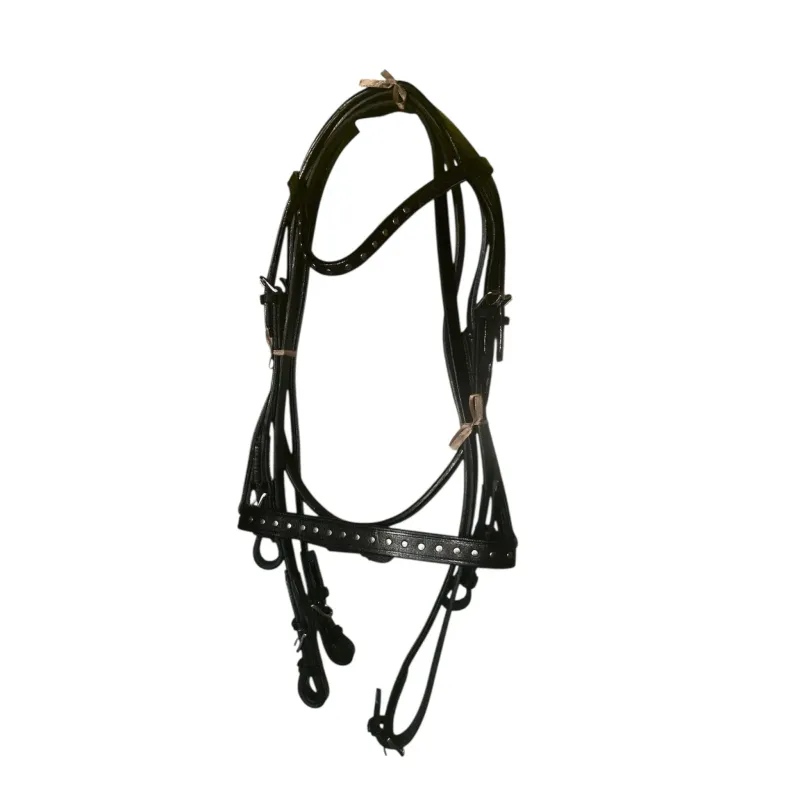 Cavesson Leather Head Rein Set