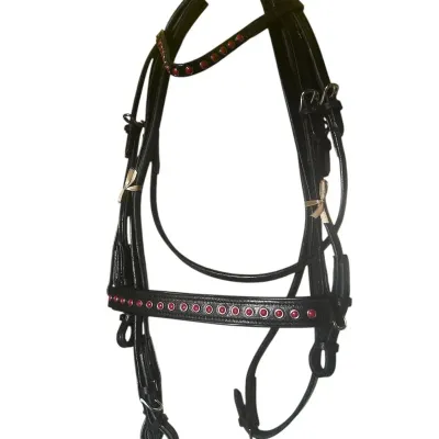 Cavesson Headgear Training and Control Special Headgear System