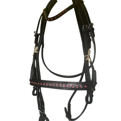 Cavesson Dəri Başlıq Dəsti – Farmena