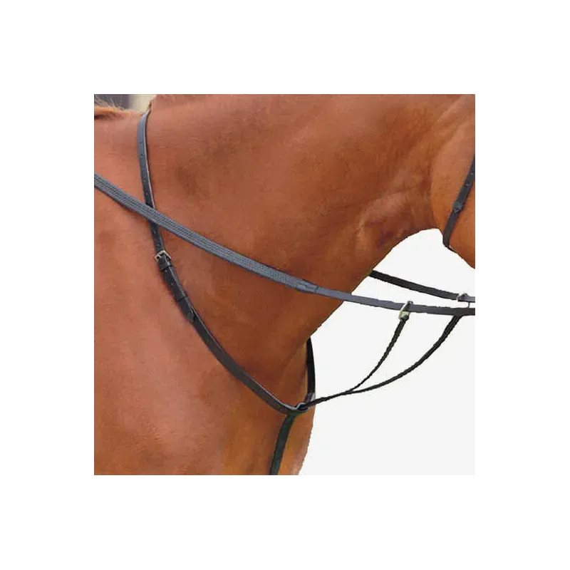 Leder-Martingale