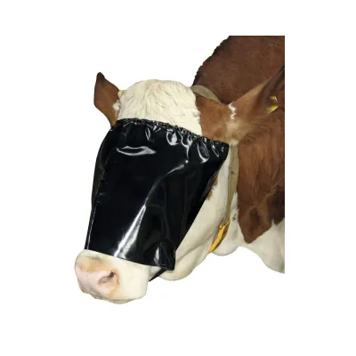 Post-operative bovine eye patch