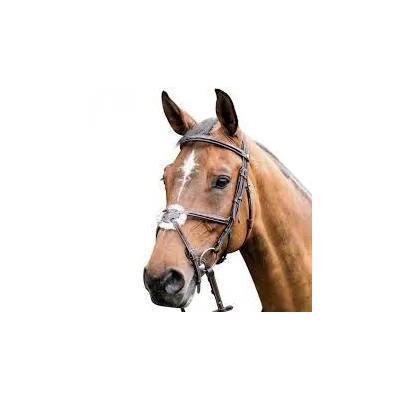 leather horse headpiece