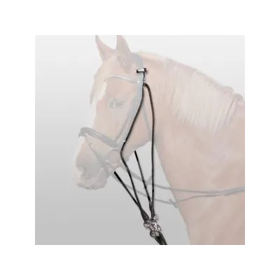 Professional Gogue Control System Used in Horse Training