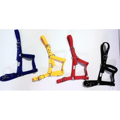 Imported Horse Halter