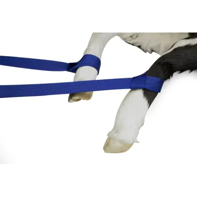  Hayvancılık medikal sarf malzemesi kenet buzağı doğum kayışı 85 cm