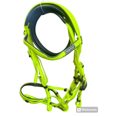 Overview of rein set equestrian equipment.