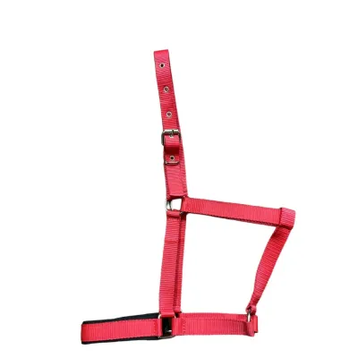 Economical Halters for Horses