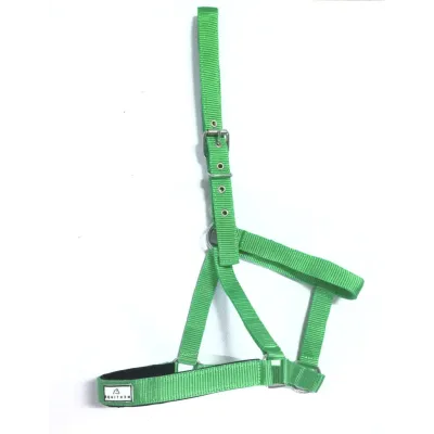 Everyday Use Horse Halter