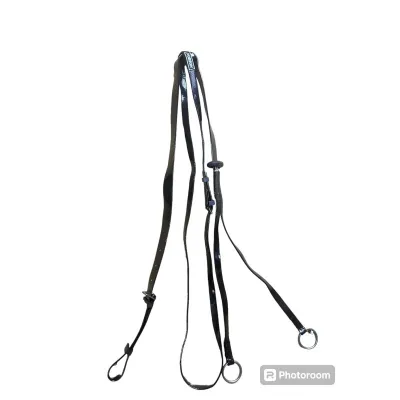 Specialized training equipment that helps in the disciplined training of horses and supports their working performance.
