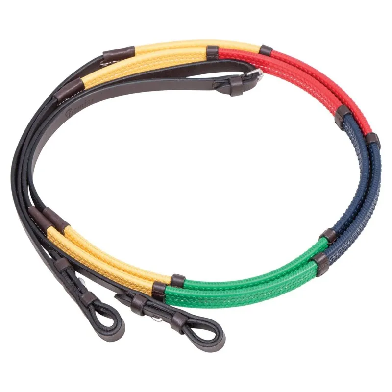 Rainbow Reins