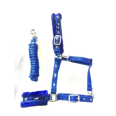A comprehensive set of headgear, enriched with spare parts, essential for the daily inspection and care of horses.