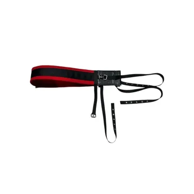 Horse Colon Chest Support Apparatus
