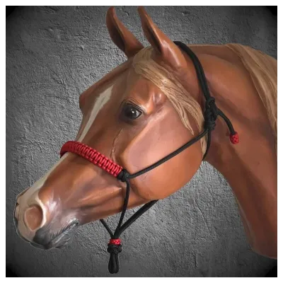 Rope Halter
