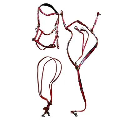 The reins are a set of equipment that controls the horse's head and mouth, helping it to move in coordination with the rider.