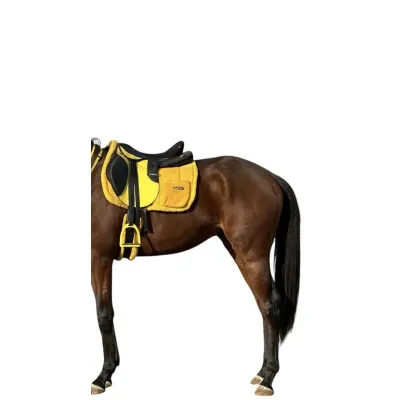complete saddle set, fully equipped riding saddle set