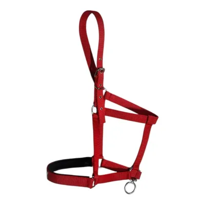 Swivel halter, halter with a rotating mechanism for horse control.