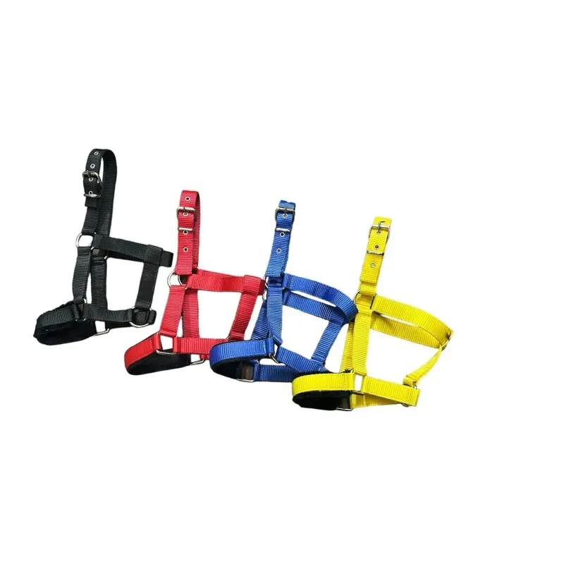 Halsband (Neugeborenes)