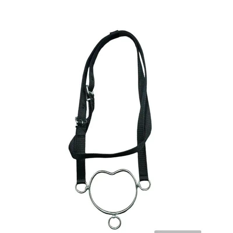 Shifne (Hanging)