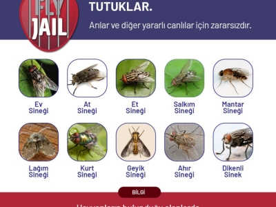Haşere Mücadelesi