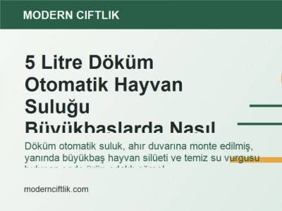 5 Litre Döküm Otomatik Hayvan Suluğu Büyükbaşlarda Nasıl Kullanılır?