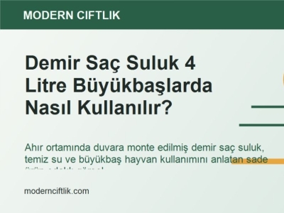 Demir Saç Suluk 4 Litre Büyükbaşlarda Nasıl Kullanılır?