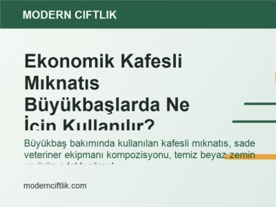 Ekonomik Kafesli Mıknatıs Büyükbaşlarda Ne İçin Kullanılır?