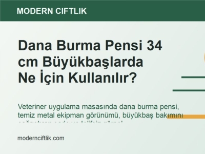 Dana Burma Pensi 34 cm Büyükbaşlarda Ne İçin Kullanılır?