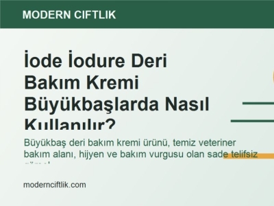 İode İodure Deri Bakım Kremi Büyükbaşlarda Nasıl Kullanılır?