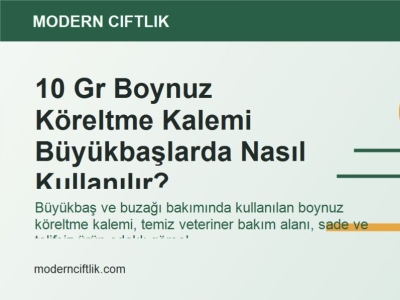 10 Gr Boynuz Köreltme Kalemi Büyükbaşlarda Nasıl Kullanılır?