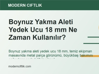 Boynuz Yakma Aleti Yedek Ucu 18 mm Ne Zaman Kullanılır?