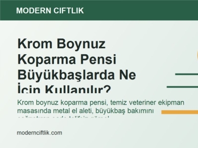 Krom Boynuz Koparma Pensi Büyükbaşlarda Ne İçin Kullanılır?