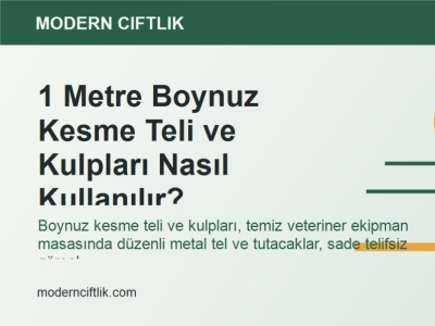 1 Metre Boynuz Kesme Teli ve Kulpları Nasıl Kullanılır?