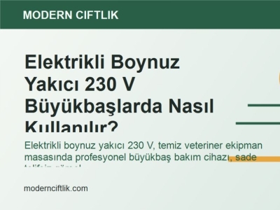Elektrikli Boynuz Yakıcı 230 V Büyükbaşlarda Nasıl Kullanılır?