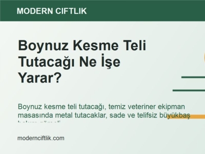 Boynuz Kesme Teli Tutacağı Ne İşe Yarar?