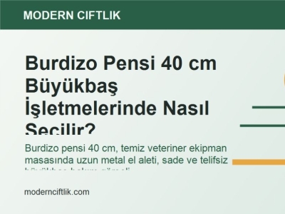 Burdizo Pensi 40 cm Büyükbaş İşletmelerinde Nasıl Seçilir?