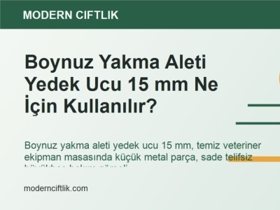 Boynuz Yakma Aleti Yedek Ucu 15 mm Ne İçin Kullanılır?