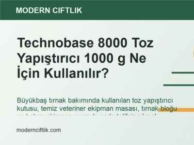 Technobase 8000 Toz Yapıştırıcı 1000 g Ne İçin Kullanılır?