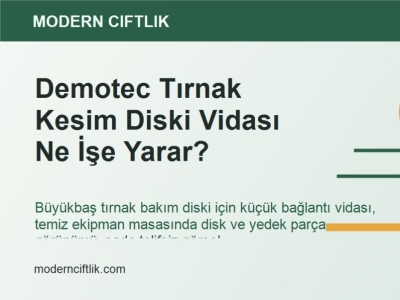 Demotec Tırnak Kesim Diski Vidası Ne İşe Yarar?