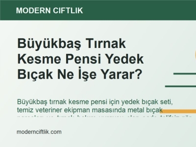 Büyükbaş Tırnak Kesme Pensi Yedek Bıçak Ne İşe Yarar?