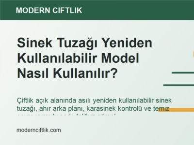 Sinek Tuzağı Yeniden Kullanılabilir Model Nasıl Kullanılır?