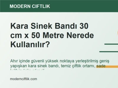 Kara Sinek Bandı 30 cm x 50 Metre Nerede Kullanılır?