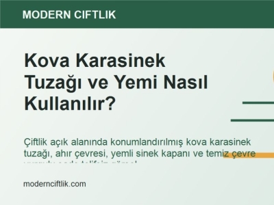 Kova Karasinek Tuzağı ve Yemi Nasıl Kullanılır?