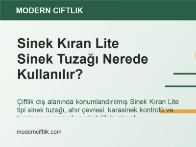 Sinek Kıran Lite Sinek Tuzağı Nerede Kullanılır?