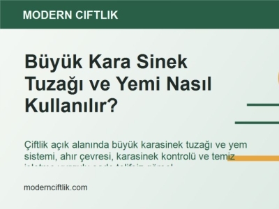 Büyük Kara Sinek Tuzağı ve Yemi Nasıl Kullanılır?